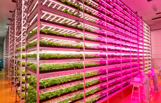 Future Multifunctional LED lighting applications in many fields